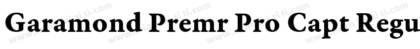 Garamond Premr Pro Capt Regular字体转换